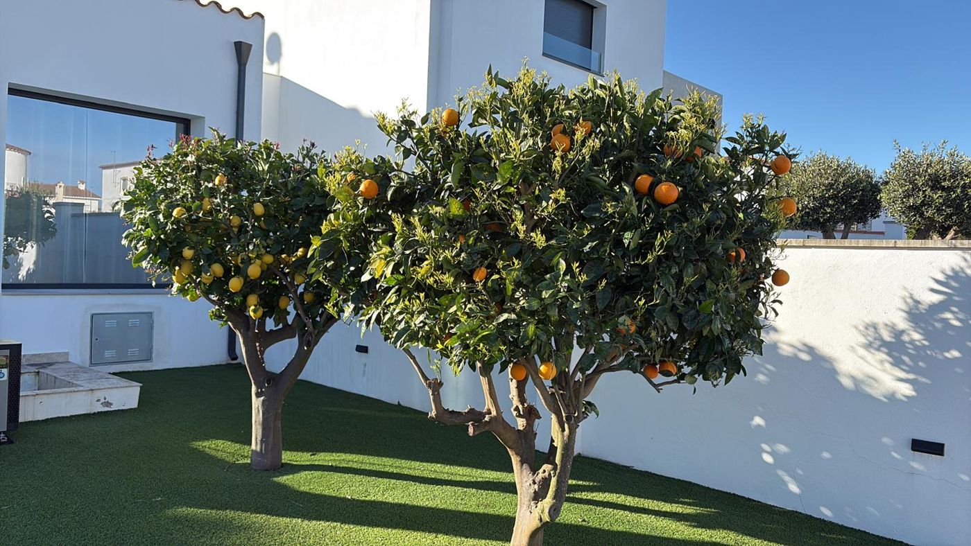 Garten mit Zitronen- und Orangenbäumen